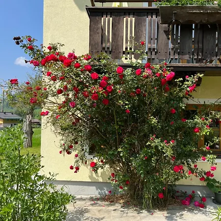 Moser Bed and breakfast 3*